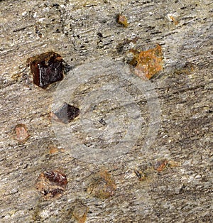 Garnet Schist