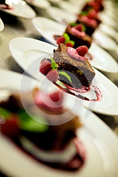 Garnished gourmet chocolate desserts