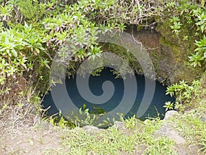 GaroÃÂ© Tree sacred place with holes, El Hierro, Canary Islands, Spain