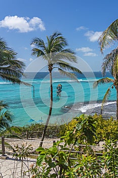 Garrafon Reef Park Beach Club on the beautiful island Isla Mujeres, Mexico. Water Park. vertical photo