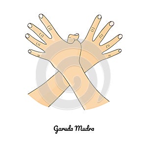 Garuda Mudra / Gesture of Eagle. Vector photo