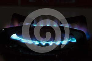 Gas burner with blue flame, glowing fire ring on kitchen stove