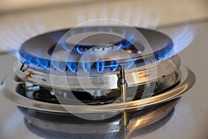 Gas burner flame