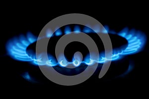 Gas cooker with burning fire propane gas. Blue flames on gas stove burner isolated on black background