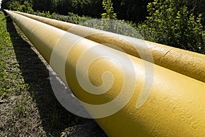 Gas delivery to remote regions. yellow gas pipeline that laid through green field. a long yellow pipe