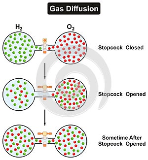 Gas Diffusion Phenomenon of oxygen and hydrogen photo