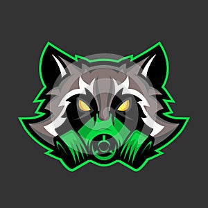 Gas mask raccoon mascot, Sport or esports racoon logo emblem photo