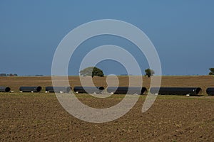 Gas pipeline construction, La Pampa province , Patagonia, Argentina