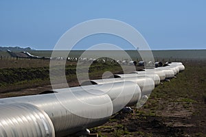 Gas pipeline construction, La Pampa photo