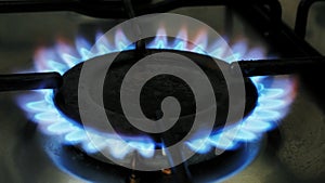 Gas ring burning with blue flames on a domestic cooker or stove