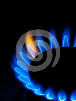 Gas stove