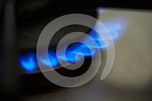 Gas stove, blue flames from natural gas fire