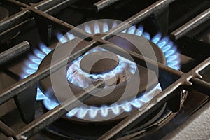 Gas stove burner