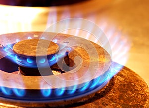 Gas Stove Fire Flame