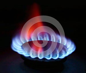 Gas Stove Flame