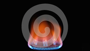 Gas stove flame. Gas stove on black background.