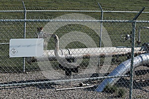 Gas Supply Main Pipeline