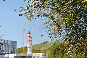 Gas turbine power plant on natural gas with chimneys of red-white color against the blue sky in the apple orchard