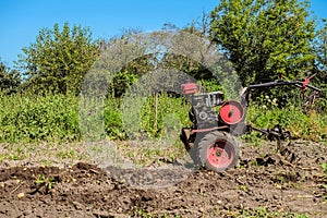 Gasoline motor cultivator near the furrow