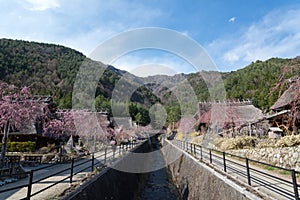 Gassho House at Iyashi-no-Sato Village