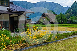 Gassho-zukuri farmhouse, in Ogimachi village