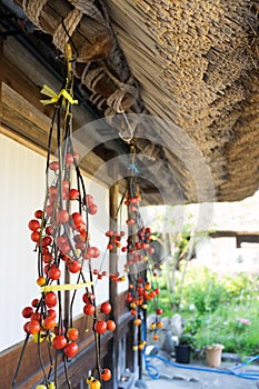 Gassho Zukuri (Gassho-style) House in Gokayama