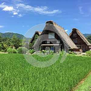 Gassho-zukuri house