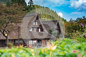 Gassho-zukuri houses in Gokayama Village. Gokayama has been inscribed on the UNESCO World Heritage List due to its traditional Gas