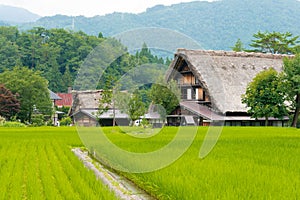 Gassho-zukuri houses at Ogimachi Village in Shirakawago, Gifu, Japan. It is part of UNESCO World