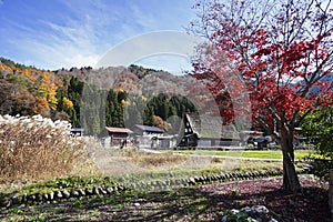 Gassho-zukuri houses in Shirakawa-go Traditional and historical Japanese village.