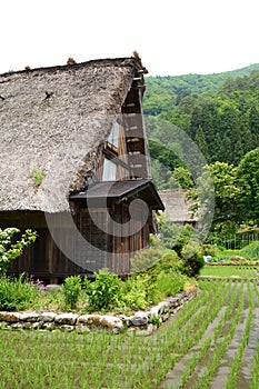 Gassho-zukuri style farmhouse. Shirakawa-go. Gifu prefecture. Chubu. Japan