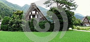 Gassho-zukuri style houses, Shirakawago Ogimachi, Honshu Island, Japan