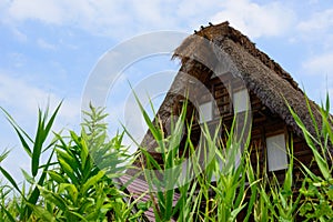 Gassho-zukuri village