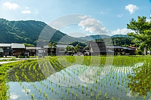 Gasso houses in Shirakawa-go, Japan