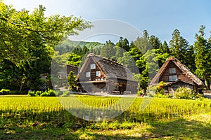 Gasso houses in Shirakawa-go, Japan