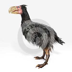 Gastornis (Terror Bird)