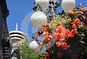 Gastown Flower Basket, Vancouver