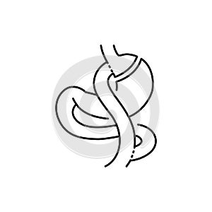 Gastric bypass Roux-en-Y olor line icon. Pictogram for web page, mobile app, promo.