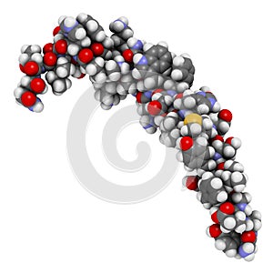 Gastric inhibitory polypeptide (GIP, glucose-dependent insulinotropic peptide) endocrine protein hormone. 3D illustration