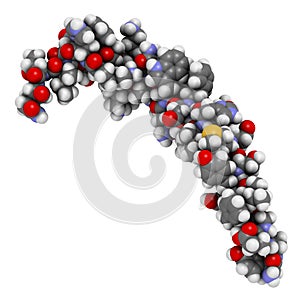 Gastric inhibitory polypeptide (GIP, glucose-dependent insulinotropic peptide) endocrine protein hormone. 3D illustration photo