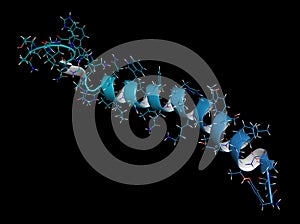 Gastric inhibitory polypeptide (GIP, glucose-dependent insulinotropic peptide) endocrine protein hormone. 3D illustration photo