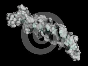 Gastric inhibitory polypeptide (GIP, glucose-dependent insulinot photo