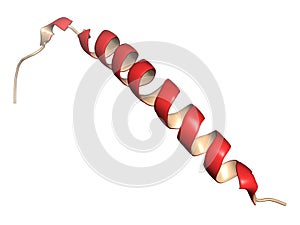 Gastric inhibitory polypeptide (GIP, glucose-dependent insulinot photo