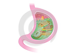 Gastric juice digesting many food in Stomach.