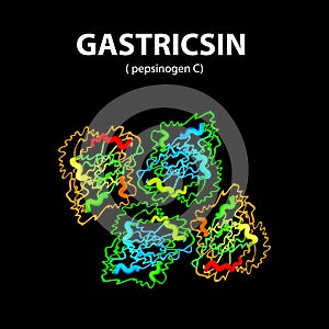 Gastricsin is a molecular chemical formula. Enzyme of the stomach, gastric juice. Infographics. Vecto