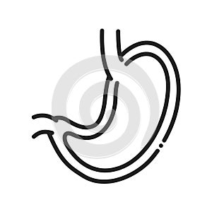 Gastroenterology black line icon. Stomach line color icon. Human organ concept. Sign for web page, mobile app, button, logo.