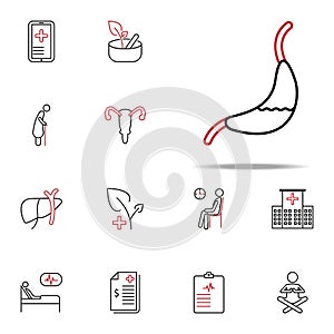 Gastroenterology colored line icon. Medical icons universal set for web and mobile