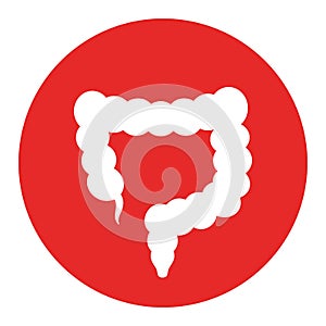 Gastroenterology icon with human colon photo