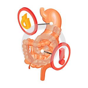 Gastroenterology Problems Finding Composition