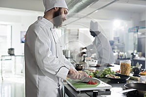 Gastronomy expert preparing garnish for gourmet dish served at restaurant.